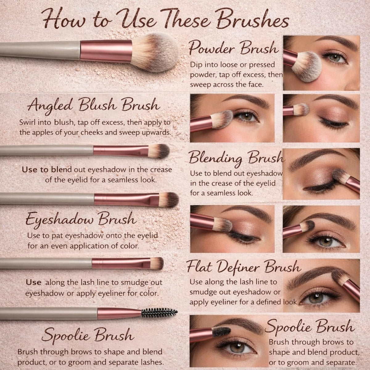 Professional Makeup Brush Kit Set (Pack of 6)