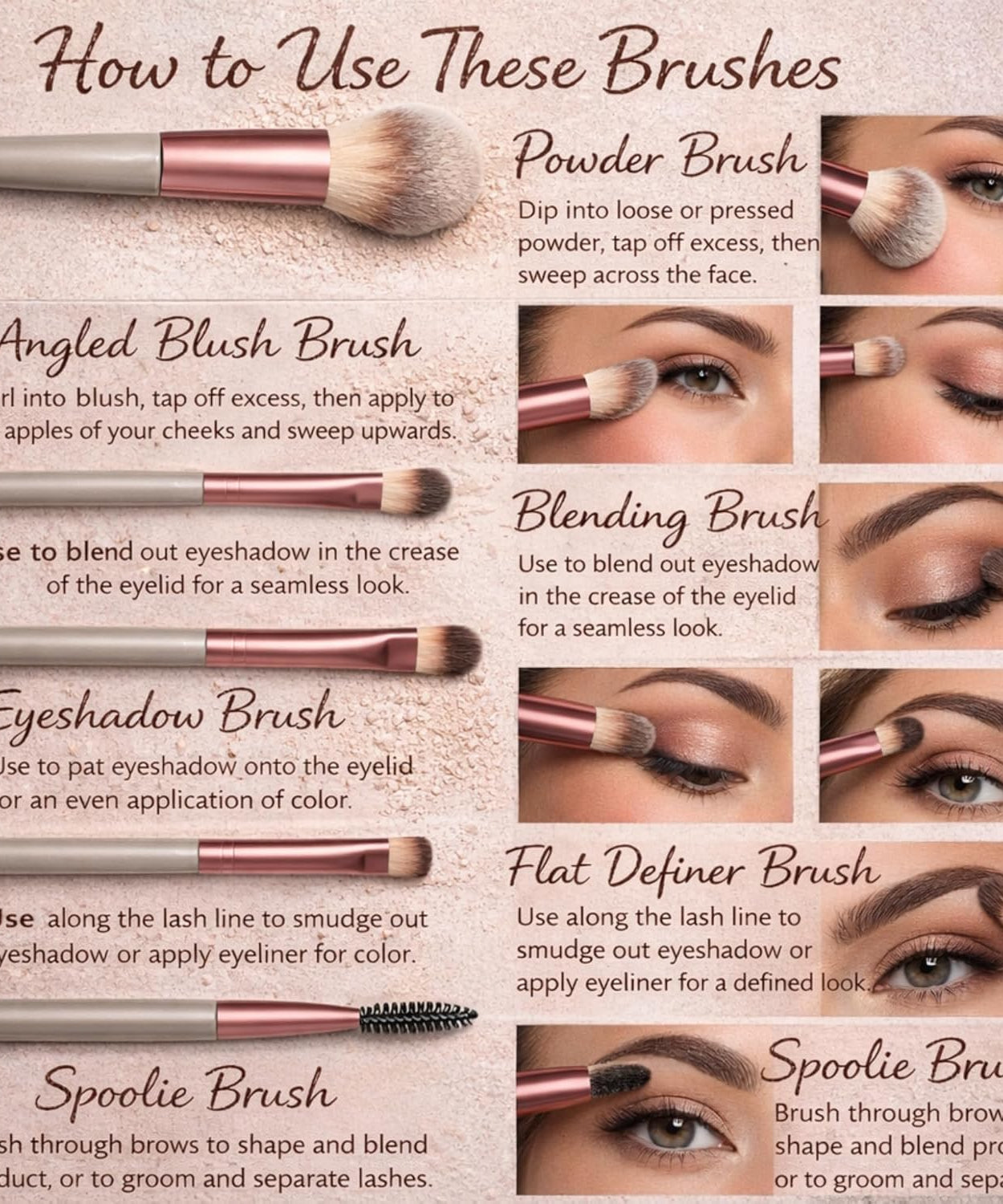 Professional Makeup Brush Kit Set (Pack of 6)